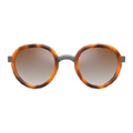 Round Tinted Shades (Brown) NH Icon.png