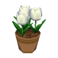 White Tulips CF Model.png