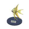 angelfish model
