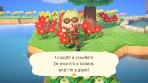 Caught Crawfish NH 1.jpg