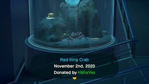 NH Red King Crab Museum.jpg