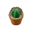 Round Mini Cactus PC Icon.png
