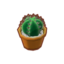 Round Mini Cactus PC Icon.png