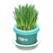 Cat Grass (Light Blue) NH Icon.png