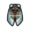 Giant cicada