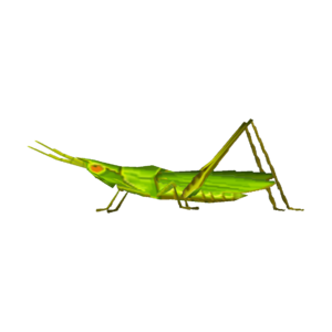 Long Locust CF Model.png