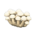 Mush partition's White mushroom variant