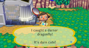 Caught Darner Dragonfly CF.png