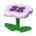 Pansy table's White variant