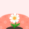 Plant Flower Seeds NH Nook Miles+ Icon.png