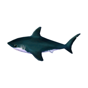 Shark NL Model.png