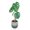 Monstera (White) NH Icon.png