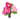 Pink Paper-Petals PC Icon.png