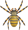 Spider NH.png