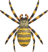 Artwork of spider