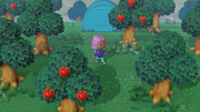 NH Press Sep 2019 Cloudy.png