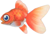 Artwork of Goldfish