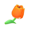orange tulips
