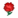 Red Carnations NL Icon.png