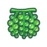 Sea Grapes NH Icon.png