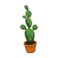 Cactus