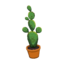 Cactus CF Model.png