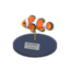 clown fish model