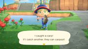 Carp/Gallery - Animal Crossing Wiki - Nookipedia