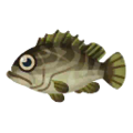 Longtooth Grouper PC Icon.png