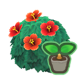 Red-Hibiscus Start NH Icon.png