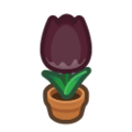 Black-Tulip Plant NH Inv Icon.png