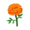 Orange Marigold PC Icon.png