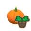 pumpkin start