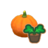 pumpkin start