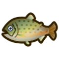 Stringfish NH Icon.png