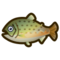 Stringfish NH Icon.png