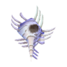 venus comb