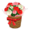 Carnations NH Icon.png