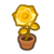 Gold Rose