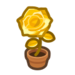 Gold rose