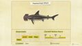 NH Critterpedia Hammerhead Shark Northern Hemisphere.jpg
