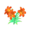 orange-lily plant
