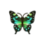 stresemanni swallowtail