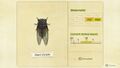 NH Critterpedia Giant Cicada Northern Hemisphere.jpg