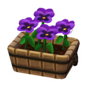 Purple Pansies NL Model.png