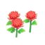 red-mum plant