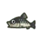 Suckerfish - Animal Crossing Wiki - Nookipedia