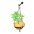 Coconut Wall Planter NH Icon.png