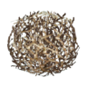 tumbleweed