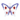 Winter Butterfly PC Icon.png